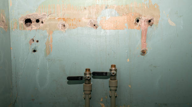 Best Professional water damage repair  in Bedford Hills, NY