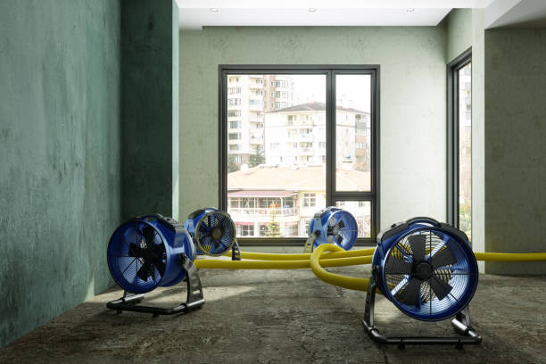 Best Basement water damage restoration  in Bedford Hills, NY